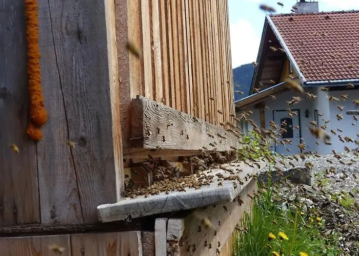 Appartement Multererhof Nikolsdorf