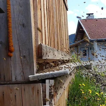 Lägenhet Multererhof Nikolsdorf